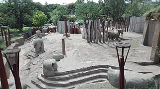 Vue de l'enclos extérieur des éléphants d'Afrique depuis la plateforme d'observation de l'installation Tembea.