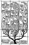 Haeckel arbol bn.png