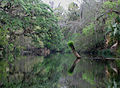 On the Hillsborough River