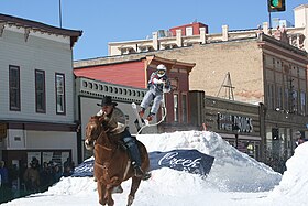 Image illustrative de l’article Ski joëring