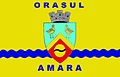 Drapeau d'Amara