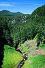 Salt Creek in the canyon below Salt Creek Falls