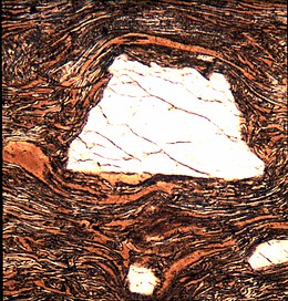 Sezione di ignimbrite vista a un solo polarizzatore