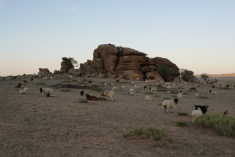 File:Mongolian Roadtrip Day 1 (3677911662).jpg