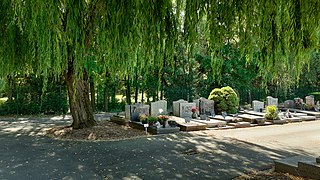 Fond du cimetière.