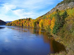 Humberfloden på Newfoundlandön en höstdag i oktober 2007.