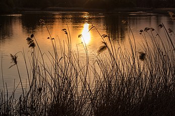 Pôr do sol em Oedlerteich (Heubachniederung) perto de Hausdülmen, Dülmen, Renânia do Norte-Vestfália, Alemanha. (definição 4 608 × 3 072)