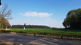 Het veld waarin de Romeinse villa gesitueerd was.