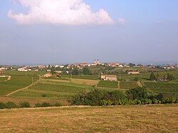 Skyline of Régnié-Durette