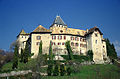 Le château de Blonay.