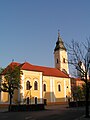 The Roman Catholic church