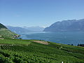 Lavaux (UNESCO)