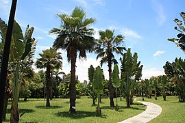 Daan Park in Taipeh