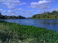 Widok z Nowego Lubiela na Narew