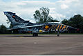 NATO Tiger Meet 2011: A Luftwaffe 46+33-as ECR-je