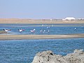 Lagune sør for Walvis Bay