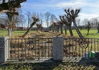 Dammen i trädgården.