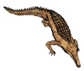 Gryposuchus