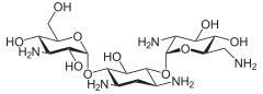 Struktur von Kanamycin B