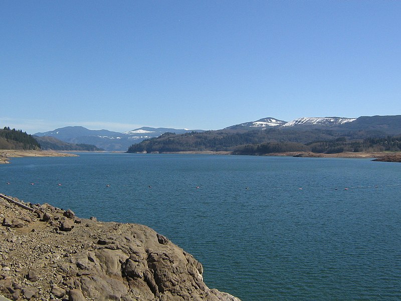 File:Riffe Lake.jpg