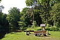 Grillplatz im Wald Hasselbusch