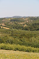 Miličinica - Panorama