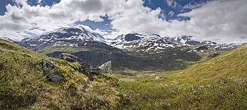 Vallée au-dessus de la limite des arbres avec des sommets enneigés à l'arrière-plan.