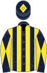 Dark Blue and Yellow stripes, diabolo on sleeves, Dark Blue cap, Yellow diamond