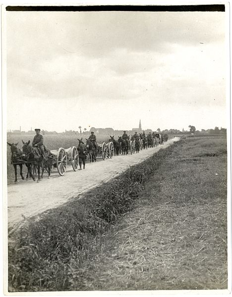 File:A new army battalion on the march in France (near Merville). Photographer- H. D. Girdwood. (13875268535).jpg