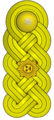 General de brigada (Venezuelan Army)[51]