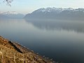 Hồ Léman và Chablais nhìn từ Lavaux