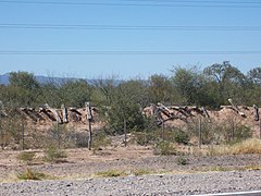 Sacaron los rieles, se están llevando los tirantes... - panoramio.jpg