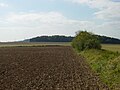 Limeswachturmstelle Wp 4/48, Strecke 4, Taunus- und Wetteraulinie, Hessen.