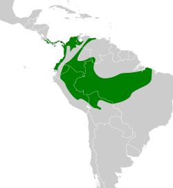 Distribución geográfica del cucarachero ruiseñor sureño.