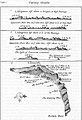 Canary Islands map by William Dampier (1699)