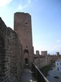 Veduta dal camminamento di ronda delle mura medievali