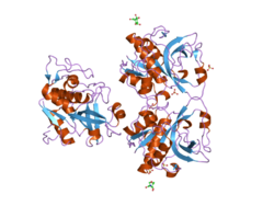 Peptidase 1