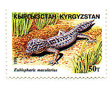 Timbre poste présentant un dessin de gecko. Les inscriptions mentionnent « Kyrgyzstan - Eublepharis macularius ».