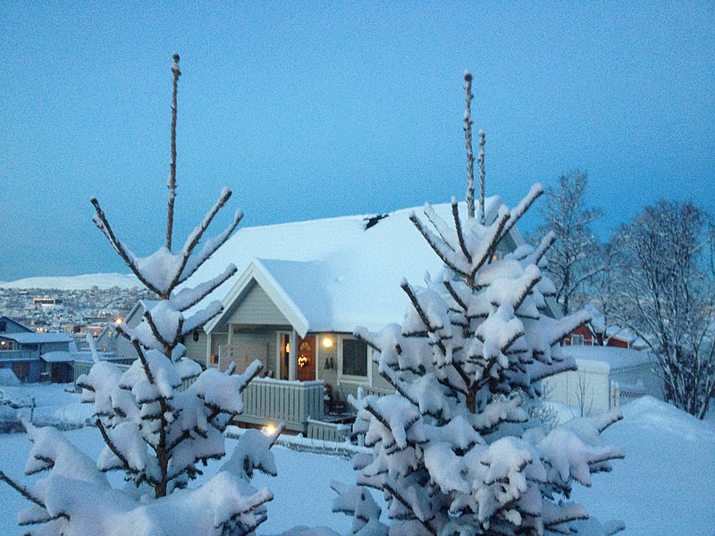 File:Bajo la nieve (11515317944).jpg