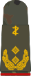 General­stabsarzt (dental medicine)