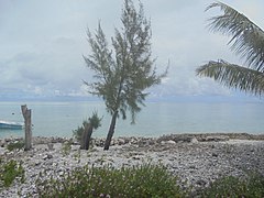 The Thirteen Islands of St Brandon - Images of Île Raphael, Cargados Carajos in Mauritius