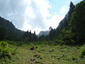 Val Larga verso l'alto dal sasso di metà valle