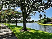 A typical residential neighborhood street in Coconut Creek.jpg