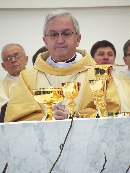 File:Abp Celestino Migliore.jpg