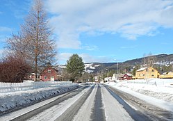 View of the village