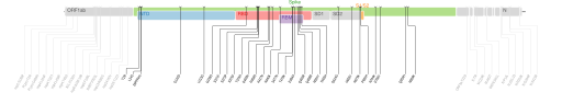 Les mutations du variant Omicron sur une carte génomique du SARS-CoV-2