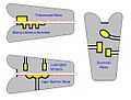 Vorschaubild der Version vom 02:15, 25. Aug. 2011