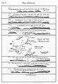 New Holland map by William Dampier (1699)