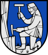 Blason de Schladming