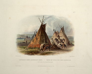 Travois à chien d'indiens assiniboines, gravure de Karl Bodmer, entre 1840 et 1843.